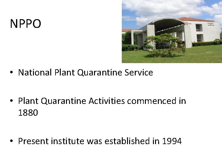 NPPO • National Plant Quarantine Service • Plant Quarantine Activities commenced in 1880 •