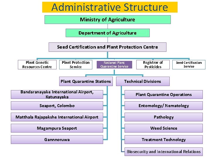 Administrative Structure Ministry of Agriculture Department of Agriculture Seed Certification and Plant Protection Centre