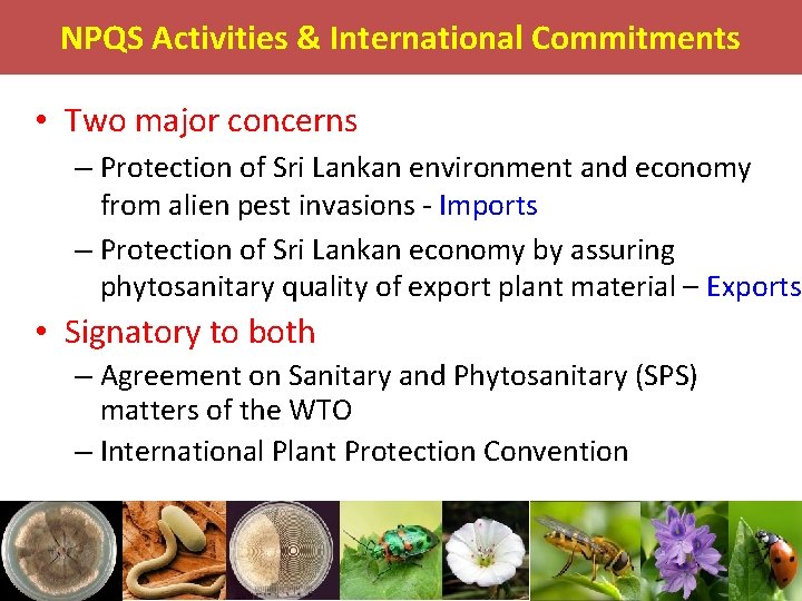 NPQS Activities & International Commitments • Two major concerns – Protection of Sri Lankan