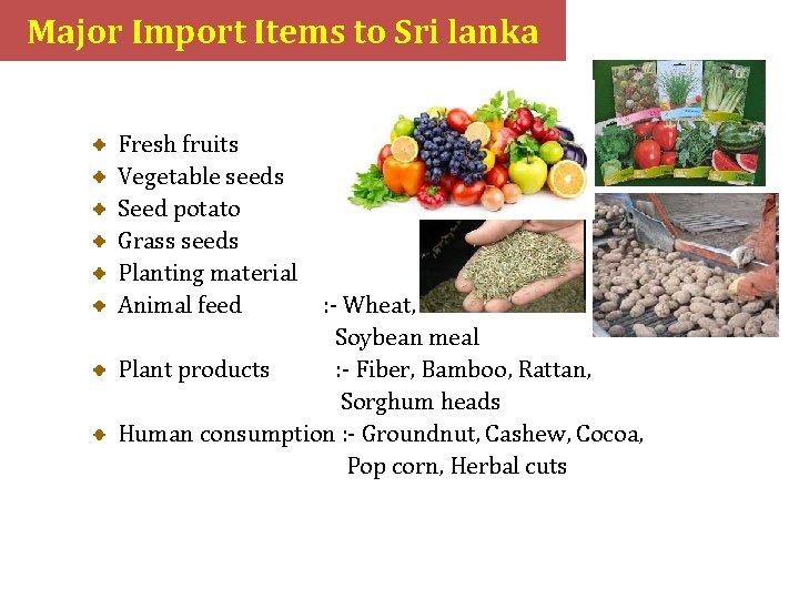 Major Import Items to Sri lanka Fresh fruits Vegetable seeds Seed potato Grass seeds