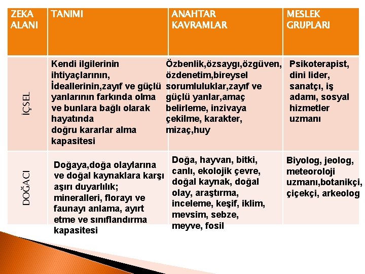 DOĞACI İÇSEL ZEKA ALANI TANIMI Kendi ilgilerinin ihtiyaçlarının, İdeallerinin, zayıf ve güçlü yanlarının farkında