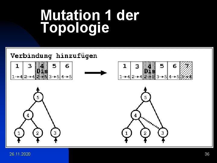 Mutation 1 der Topologie 26. 11. 2020 36 