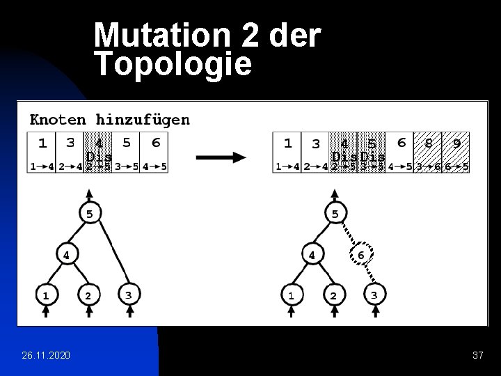 Mutation 2 der Topologie 26. 11. 2020 37 
