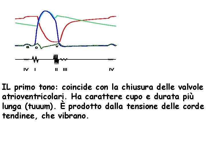 IL primo tono: coincide con la chiusura delle valvole atrioventricolari. Ha carattere cupo e