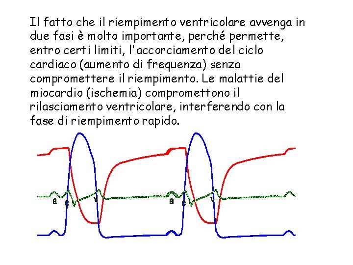 Il fatto che il riempimento ventricolare avvenga in due fasi è molto importante, perché