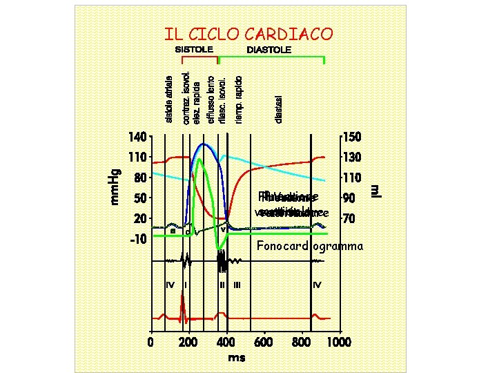 IL CICLO CARDIACO Pressione Flusso Pressione Volume atriale aortico ventricolare aortica Fonocardiogramma 