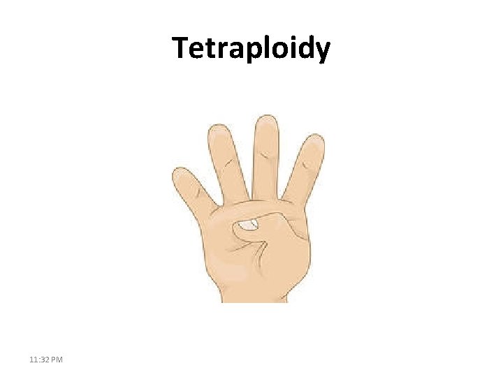 Tetraploidy 11: 32 PM 