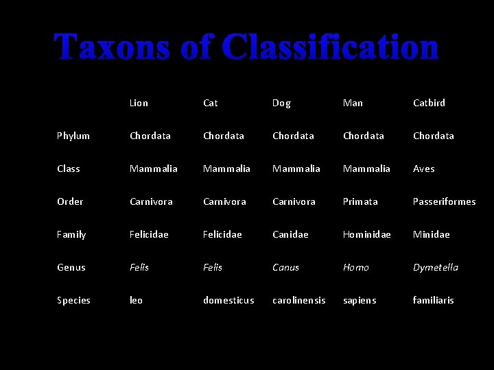 Taxons of Classification Lion Cat Dog Man Catbird Phylum Chordata Chordata Class Mammalia Aves Taxons of Classification Lion Cat Dog Man Catbird Phylum Chordata Chordata Class Mammalia Aves