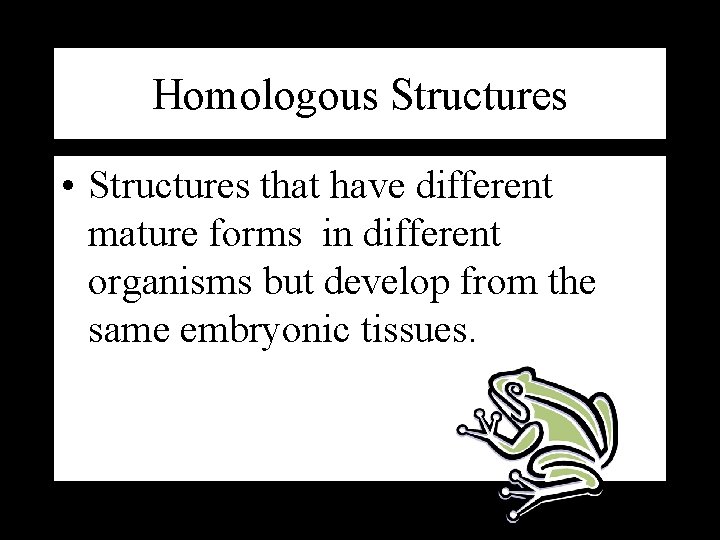 Homologous Structures • Structures that have different mature forms in different organisms but develop Homologous Structures • Structures that have different mature forms in different organisms but develop