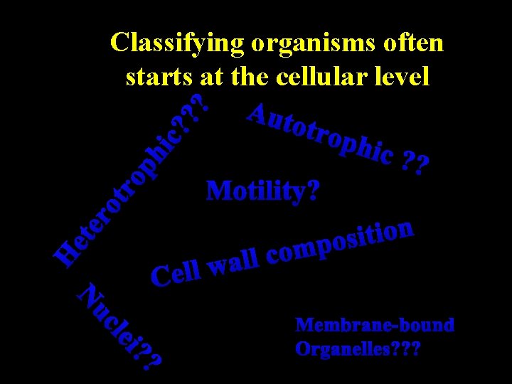 H et er ot ro ph ic? ? ? Classifying organisms often starts at H et er ot ro ph ic? ? ? Classifying organisms often starts at