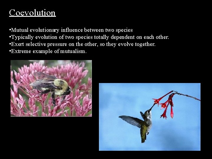 Coevolution • Mutual evolutionary influence between two species • Typically evolution of two species Coevolution • Mutual evolutionary influence between two species • Typically evolution of two species