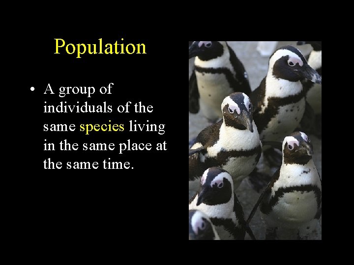 Population • A group of individuals of the same species living in the same Population • A group of individuals of the same species living in the same