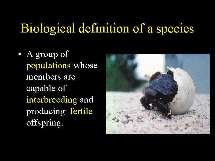 Biological definition of a species • A group of populations whose members are capable Biological definition of a species • A group of populations whose members are capable