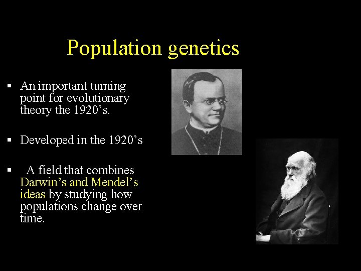 Population genetics An important turning point for evolutionary theory the 1920’s. Developed in the Population genetics An important turning point for evolutionary theory the 1920’s. Developed in the
