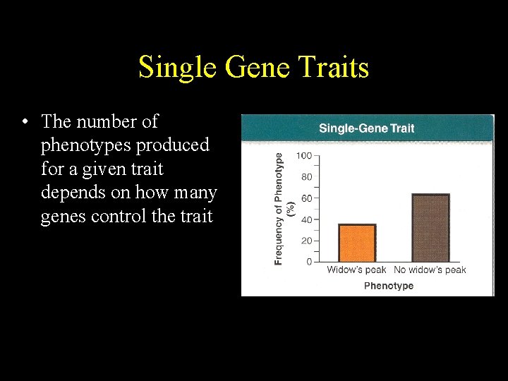 Single Gene Traits • The number of phenotypes produced for a given trait depends Single Gene Traits • The number of phenotypes produced for a given trait depends