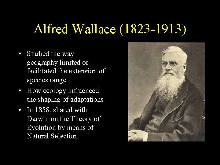 Alfred Wallace (1823 -1913) • Studied the way geography limited or facilitated the extension Alfred Wallace (1823 -1913) • Studied the way geography limited or facilitated the extension