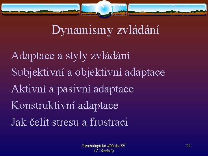 Dynamismy zvládání Adaptace a styly zvládání Subjektivní a objektivní adaptace Aktivní a pasivní adaptace