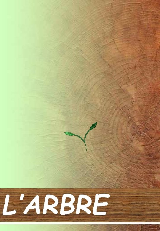 L’ARBRE 
