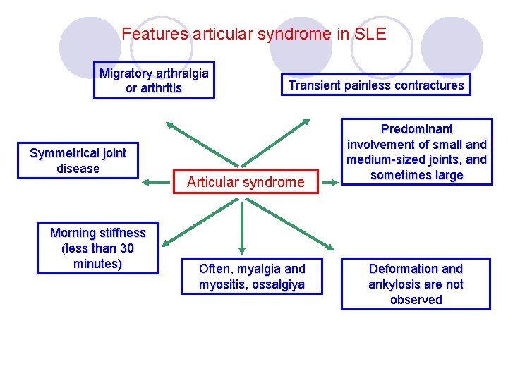 Features articular syndrome in SLE Migratory arthralgia or arthritis Symmetrical joint disease Morning stiffness