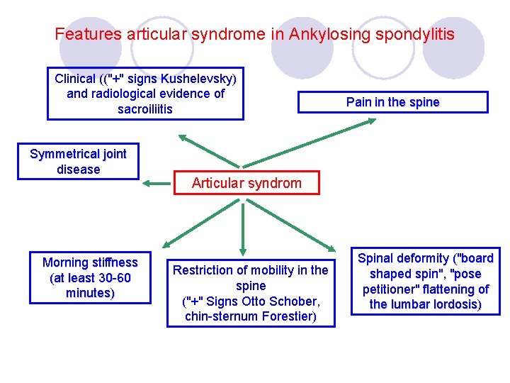 Features articular syndrome in Ankylosing spondylitis Clinical (("+" signs Kushelevsky) and radiological evidence of