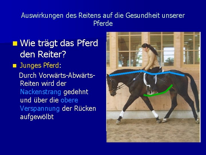 Auswirkungen des Reitens auf die Gesundheit unserer Pferde n Wie trägt das Pferd den