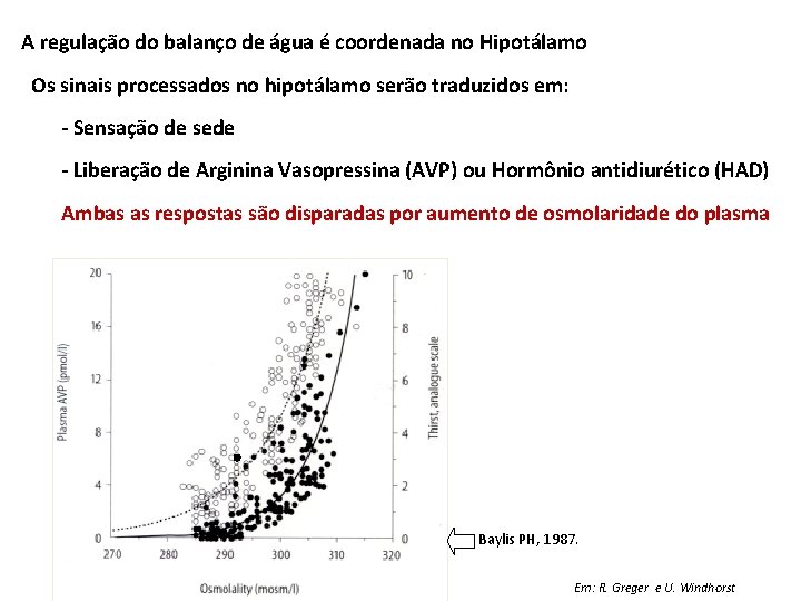 A regulação do balanço de água é coordenada no Hipotálamo Os sinais processados no