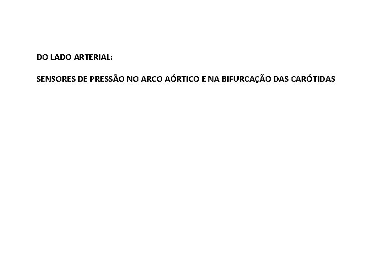 DO LADO ARTERIAL: SENSORES DE PRESSÃO NO ARCO AÓRTICO E NA BIFURCAÇÃO DAS CARÓTIDAS