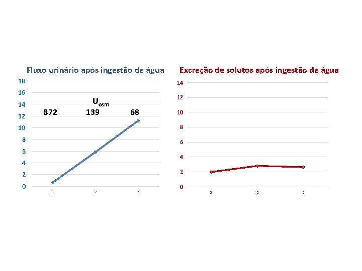 Fluxo urinário após ingestão de água 18 14 16 14 12 Excreção de solutos