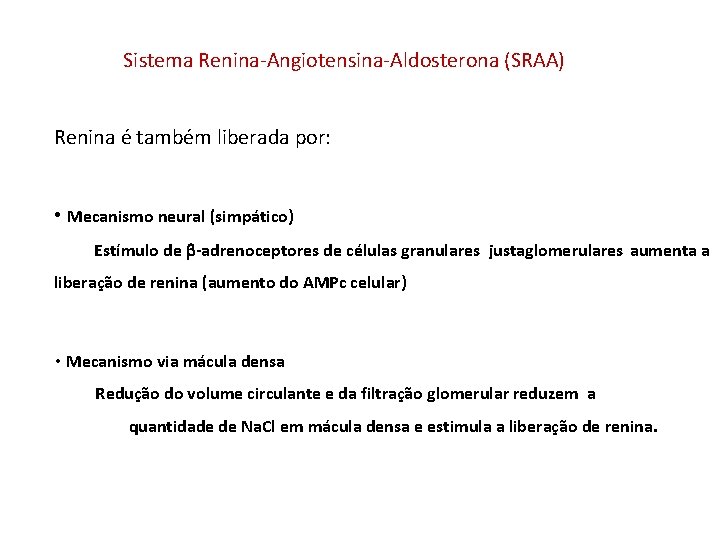 Sistema Renina-Angiotensina-Aldosterona (SRAA) Renina é também liberada por: • Mecanismo neural (simpático) Estímulo de