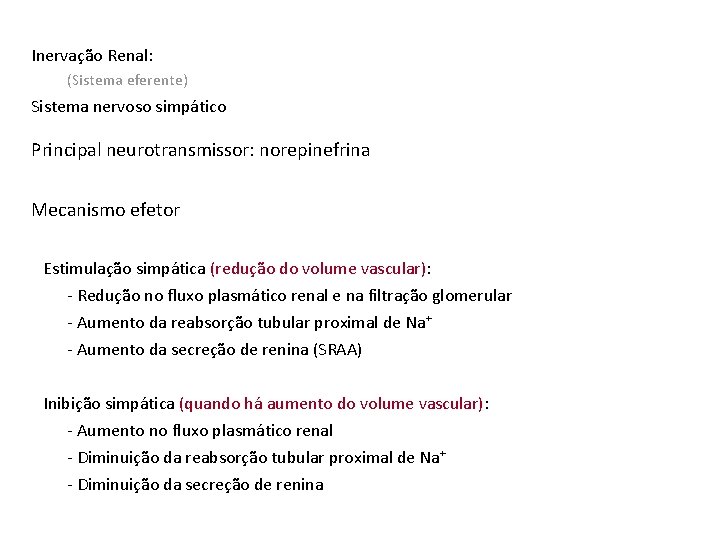 Inervação Renal: (Sistema eferente) Sistema nervoso simpático Principal neurotransmissor: norepinefrina Mecanismo efetor Estimulação simpática