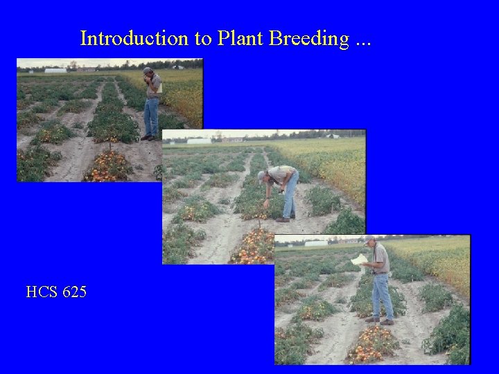 Introduction to Plant Breeding. . . HCS 625 