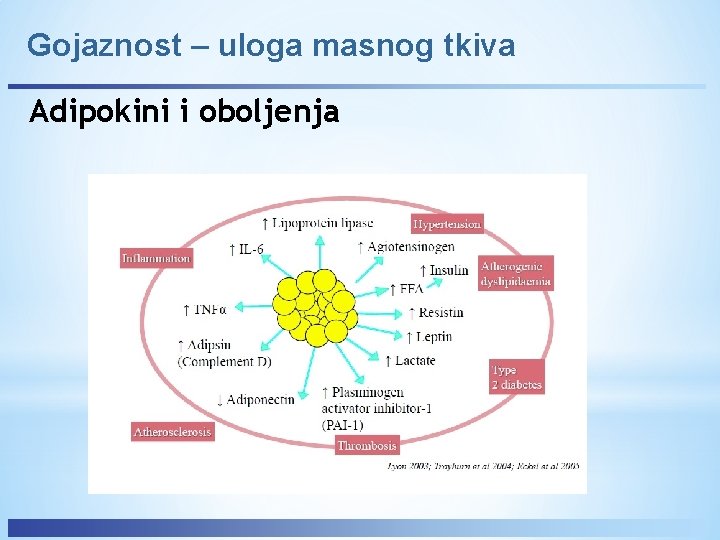 Gojaznost – uloga masnog tkiva Adipokini i oboljenja 