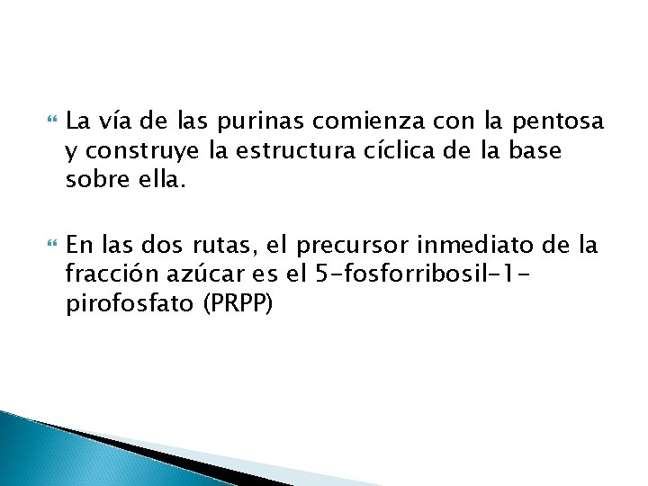  La vía de las purinas comienza con la pentosa y construye la estructura