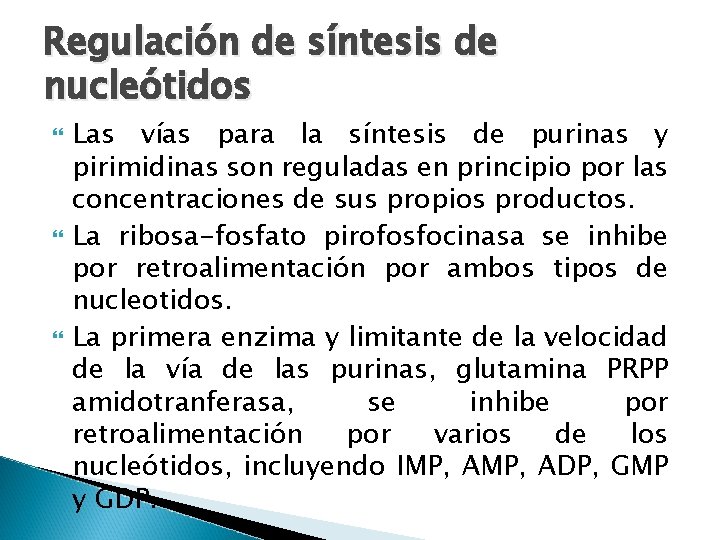 Regulación de síntesis de nucleótidos Las vías para la síntesis de purinas y pirimidinas