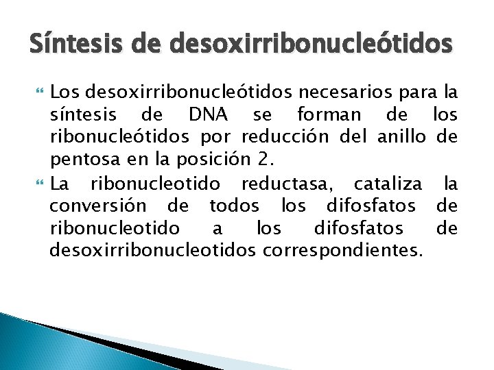 Síntesis de desoxirribonucleótidos Los desoxirribonucleótidos necesarios para la síntesis de DNA se forman de