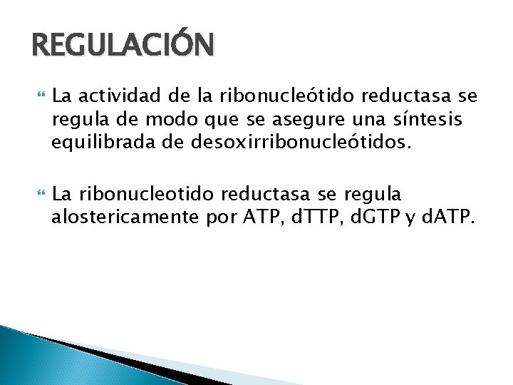 REGULACIÓN La actividad de la ribonucleótido reductasa se regula de modo que se asegure