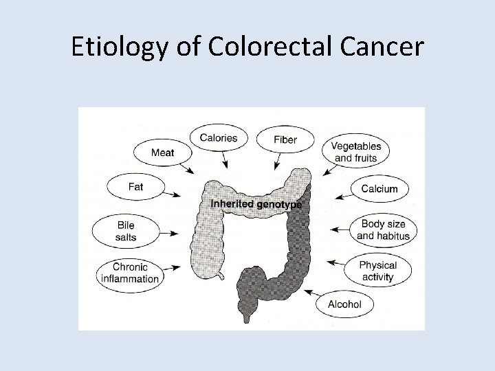 Etiology of Colorectal Cancer 