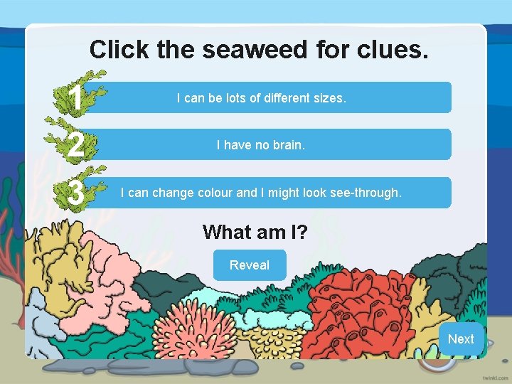 Click the seaweed for clues 1 2 3