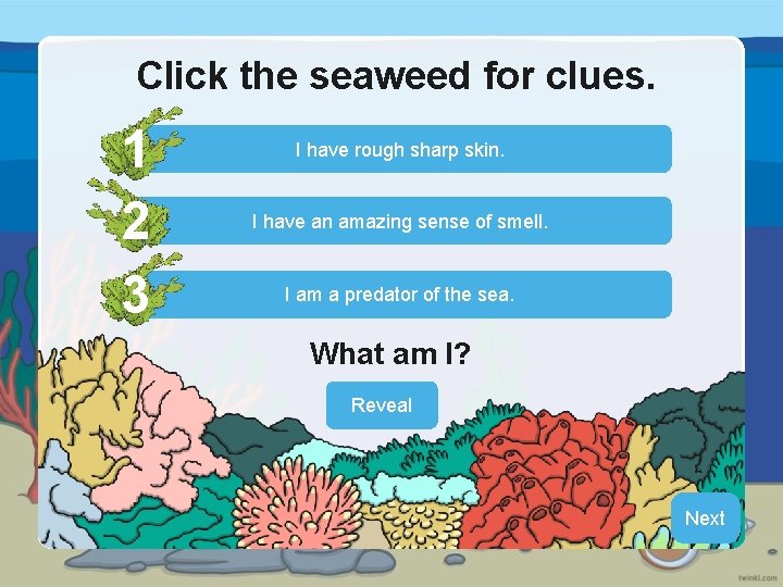 Click the seaweed for clues 1 2 3