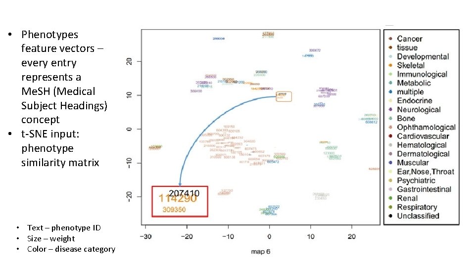  • Phenotypes feature vectors – every entry represents a Me. SH (Medical Subject