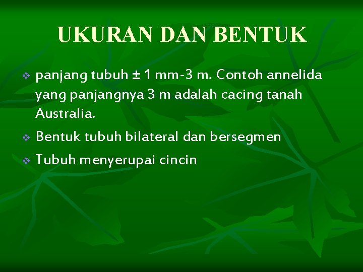 UKURAN DAN BENTUK panjang tubuh ± 1 mm-3 m. Contoh annelida yang panjangnya 3