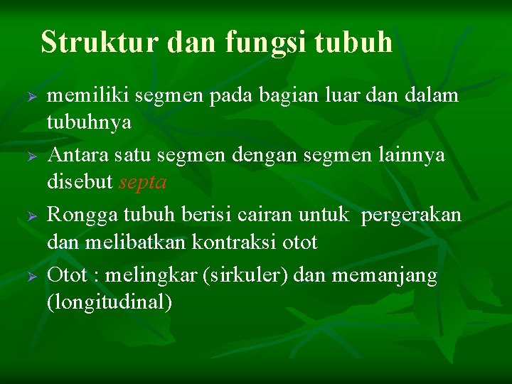 Struktur dan fungsi tubuh Ø Ø memiliki segmen pada bagian luar dan dalam tubuhnya