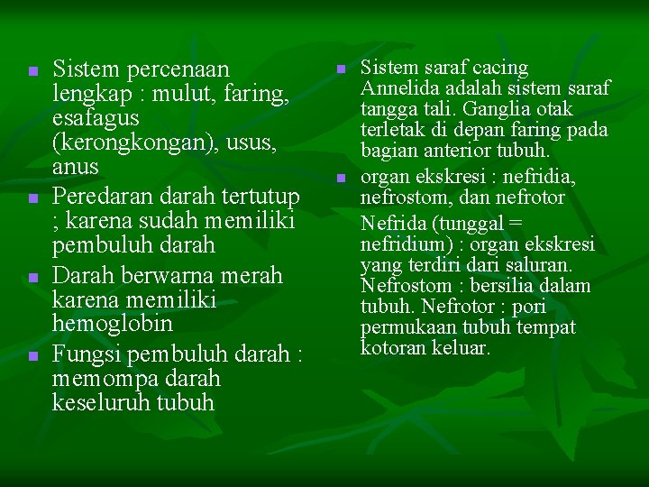 n n Sistem percenaan lengkap : mulut, faring, esafagus (kerongkongan), usus, anus Peredaran darah