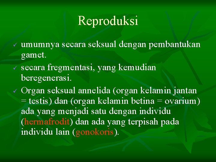 Reproduksi ü ü ü umumnya secara seksual dengan pembantukan gamet. secara fregmentasi, yang kemudian