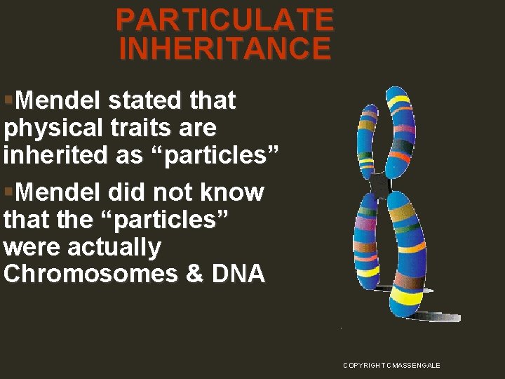 PARTICULATE INHERITANCE §Mendel stated that physical traits are inherited as “particles” §Mendel did not