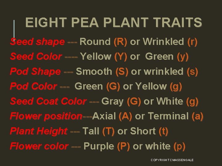 EIGHT PEA PLANT TRAITS Seed shape --- Round (R) or Wrinkled (r) Seed Color