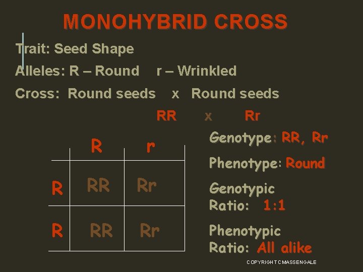 MONOHYBRID CROSS Trait: Seed Shape Alleles: R – Round r – Wrinkled Cross: Round