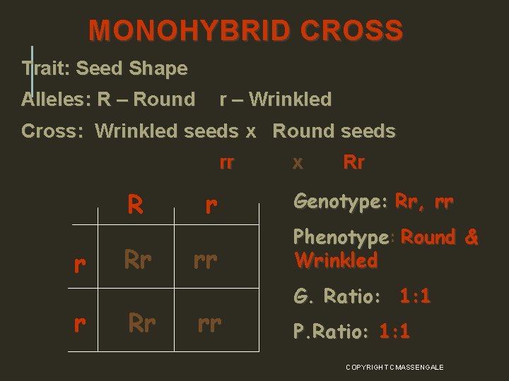 MONOHYBRID CROSS Trait: Seed Shape Alleles: R – Round r – Wrinkled Cross: Wrinkled