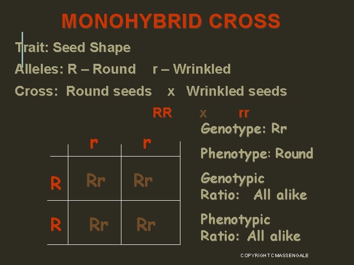 MONOHYBRID CROSS Trait: Seed Shape Alleles: R – Round r – Wrinkled Cross: Round