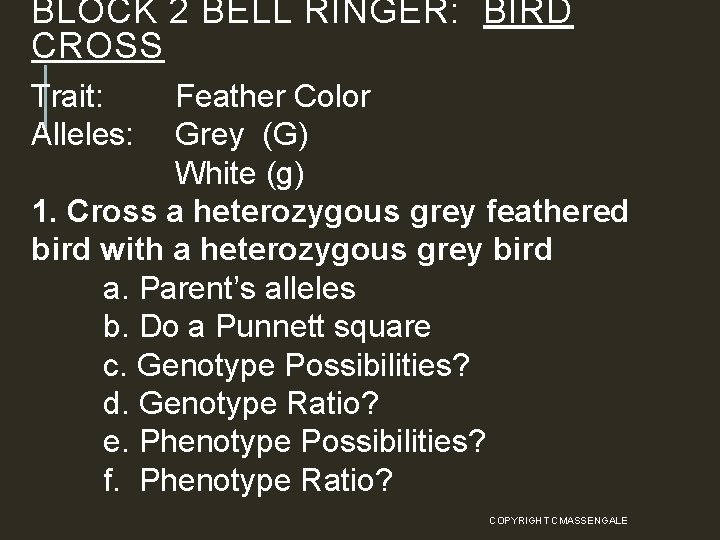 BLOCK 2 BELL RINGER: BIRD CROSS Trait: Alleles: Feather Color Grey (G) White (g)